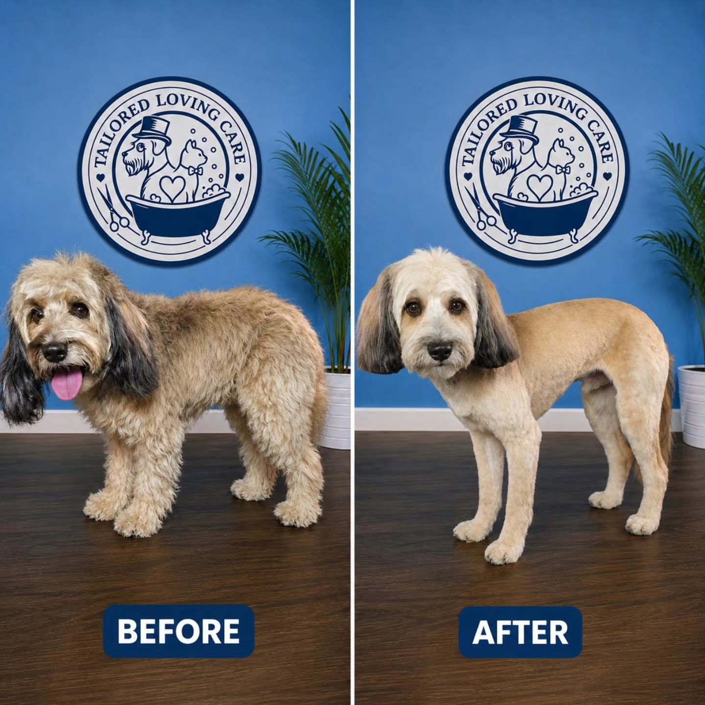 Tailored Loving Care grooming client
